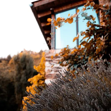 Le Hameau De La Mure Guest house *