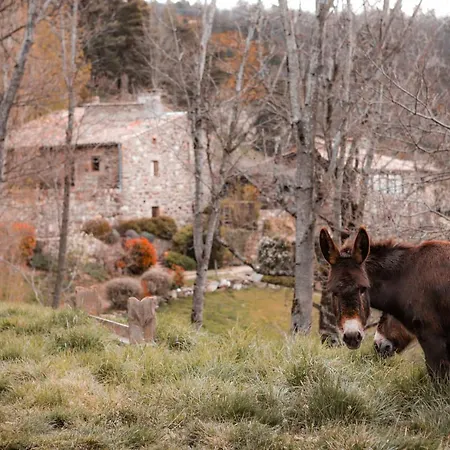 Maison d'hôtes Le Hameau De La Mûre Saint-Laurent-du-Pape