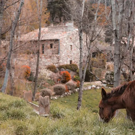 Le Hameau De La Mûre Maison d'hôtes Saint-Laurent-du-Pape