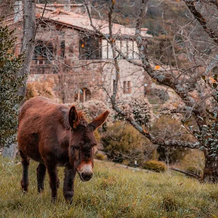 Le Hameau De La Mûre