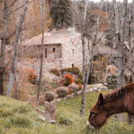 Le Hameau De La Mûre *